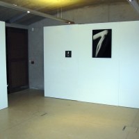 Vue de l'exposition, Alain Janssens