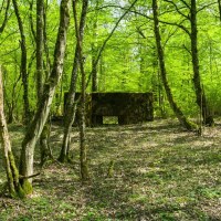 Jacques Vandenberg, Kanfener Busch 6 - SF Thionville, 2019