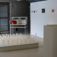Vue de l'exposition, Delphine Génicot