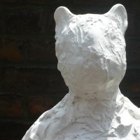 Chat, polyester