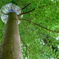 Pulsations plastiques