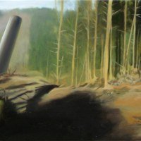 Sans titre, huile sur toile, 20 x 50 cm, 2008