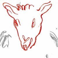 L'âne rouge, huile sur papier, 55 x 73 cm