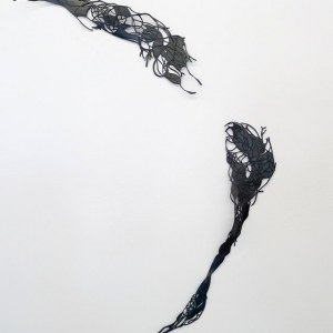 Neurolines