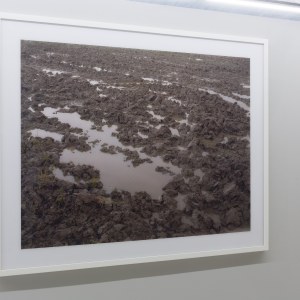 Passchendaele, Goudberg Cops, photographie, édition 1/3,  2005