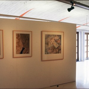 Vue de l'exposition