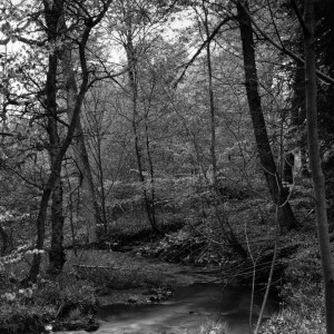 Bérismenil, tirage argentique, 2009