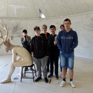 Cerf, cerf !