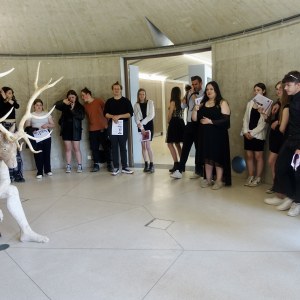 Cerf, cerf !