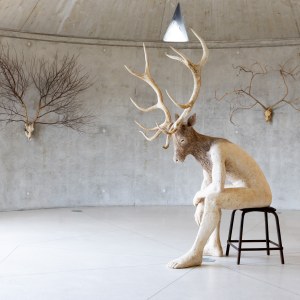 Cerf, cerf !