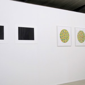 Vue de l'exposition: Edith Dekyndt et Lionel Estève