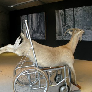 Le second martyre de la Pieta, 1987