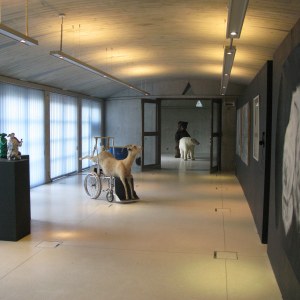 Vue de l'exposition