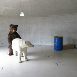 Méduses et Cie, installation video dans un tonneau de pétrole