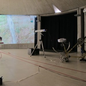 Still Not Out Of The Woods