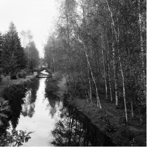 Paysage parcouru, Luc D'haegeleer