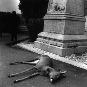 Scène de chasse