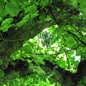 Bague polyester, peinture de carrosserie, métal