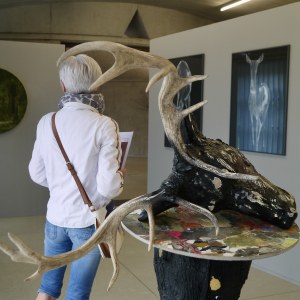 Cerf, cerf !