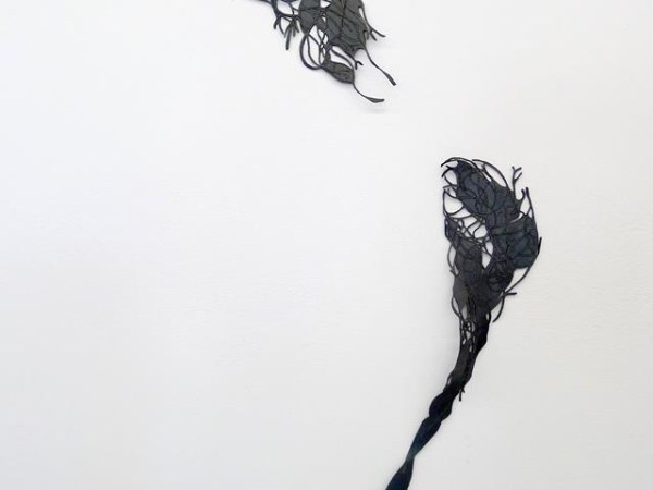 Neurolines