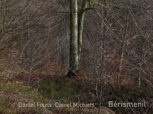 Bérismenil