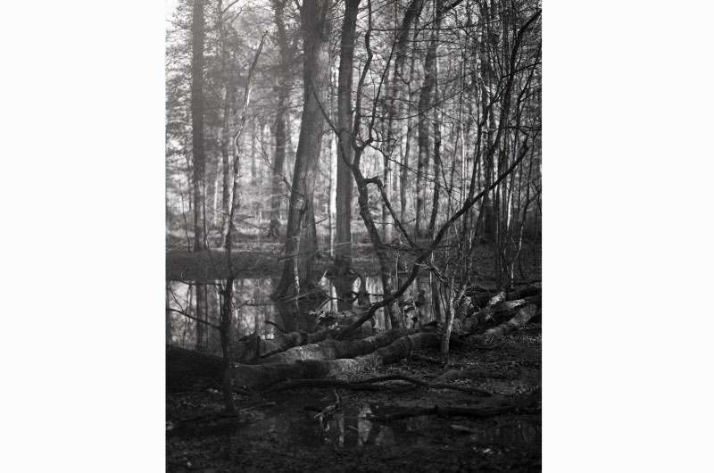 Sans titre, photographie, dimensions variables, 2020