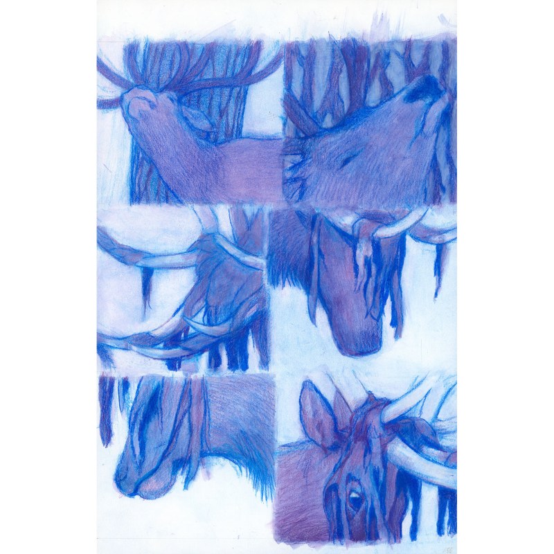 Les grands cerfs