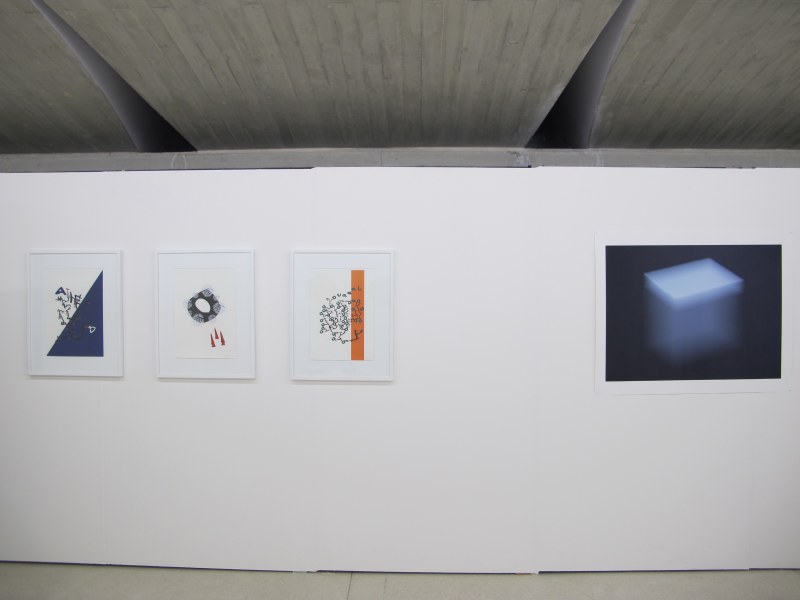 Vue de l'exposition: Patrick Corillon et Lucia Bru