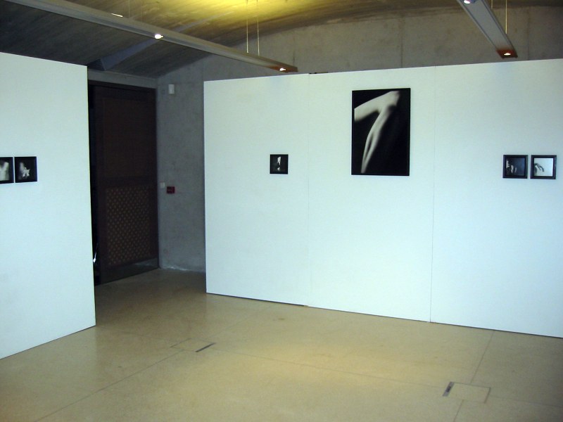 Vue de l'exposition, Alain Janssens