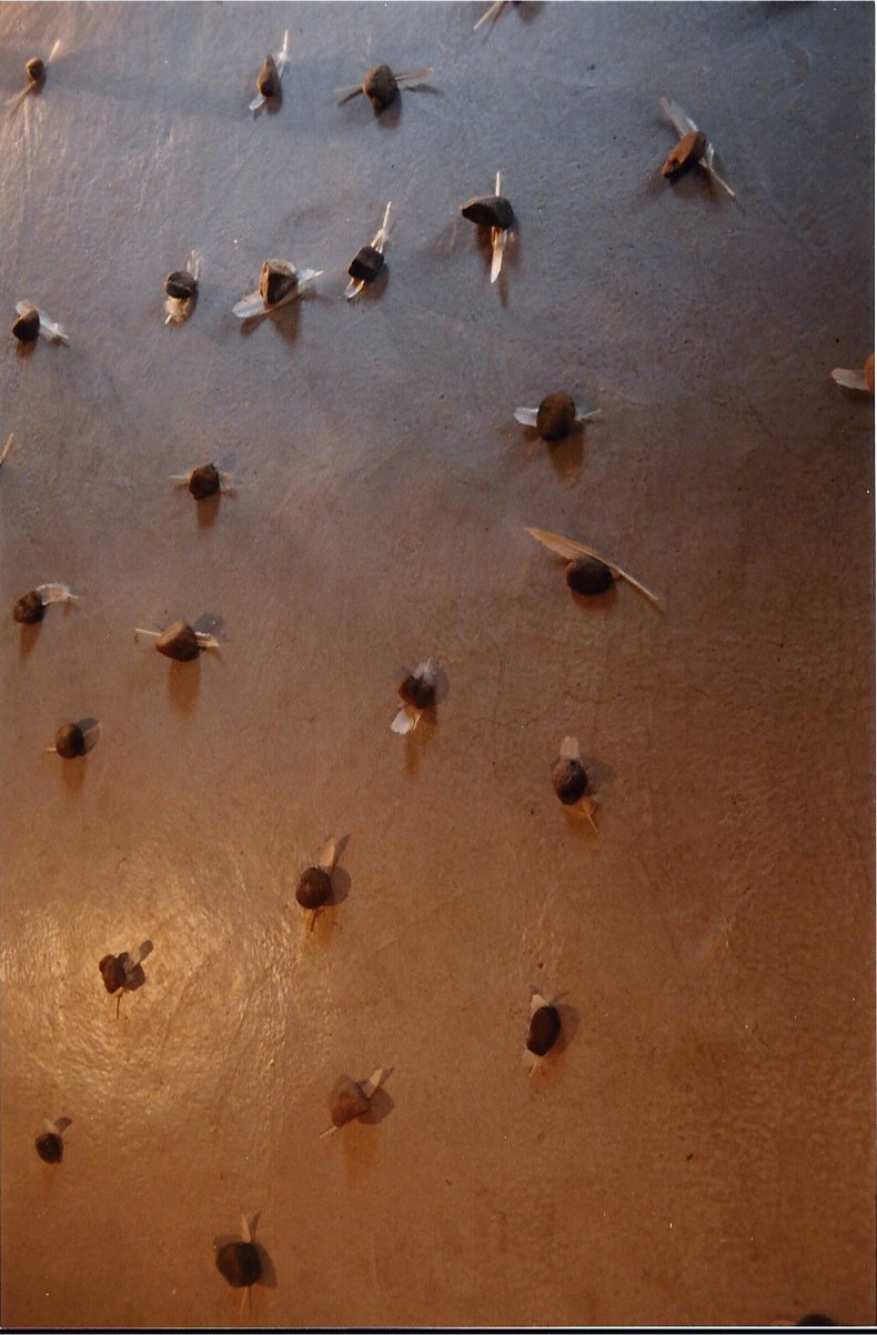 Vue de l'installation