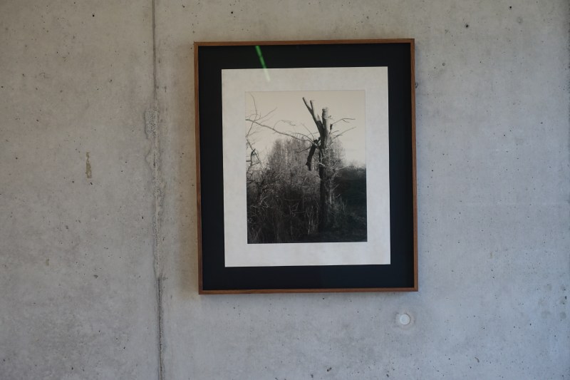 Vue de l'exposition