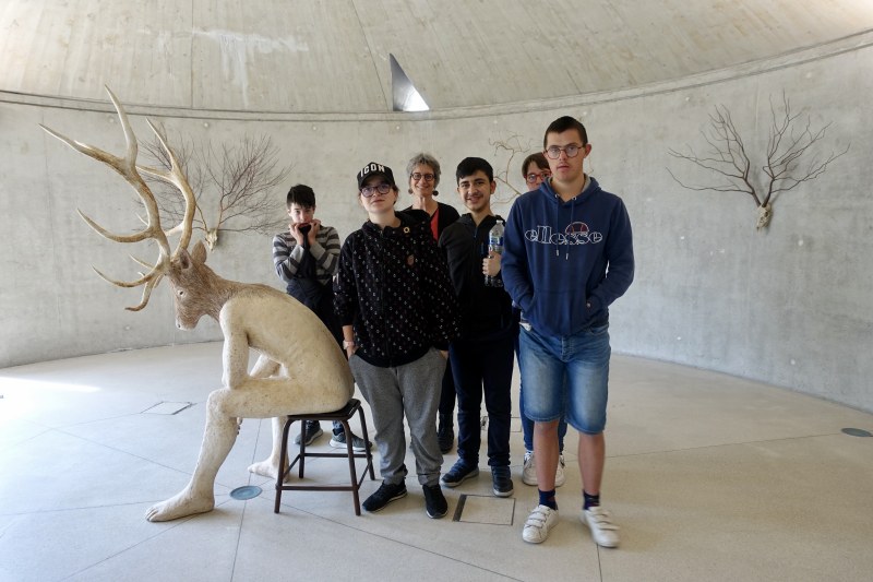 Cerf, cerf !