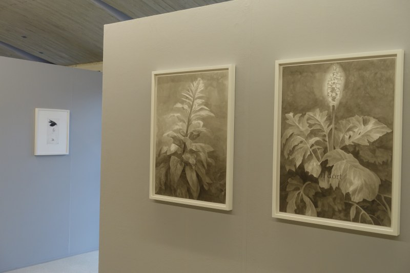 Vernissage