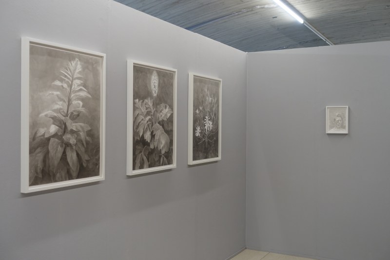Vernissage