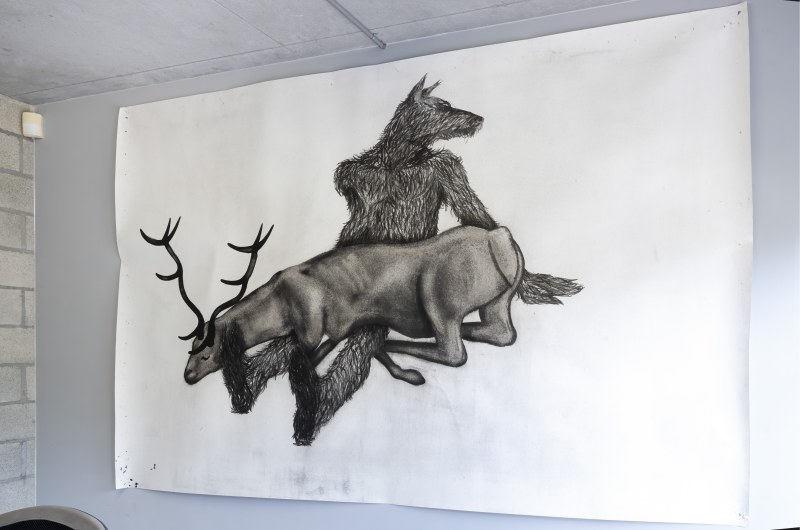Cerf, cerf !