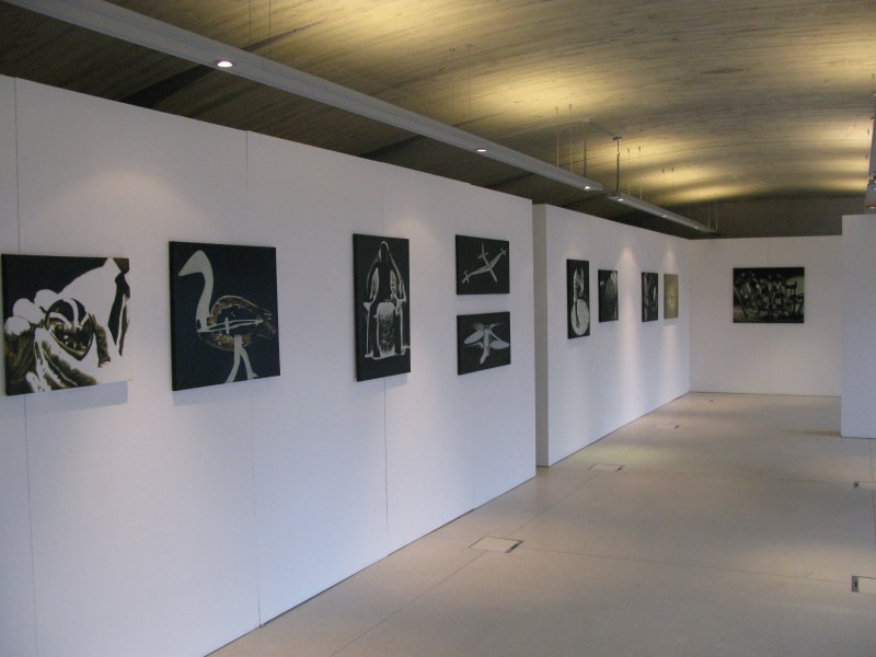 Vue de l'exposition