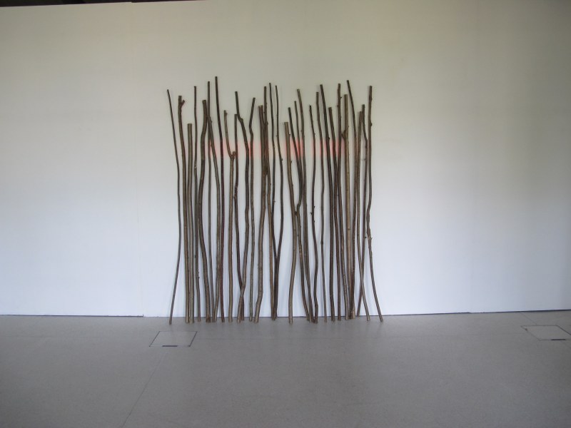 Sans titre, bâtons et irradiation de la couleur vers le mur, bois et couleur, longueur variable