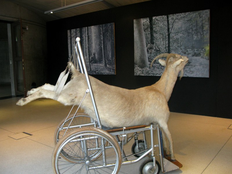 Le second martyre de la Pieta, 1987