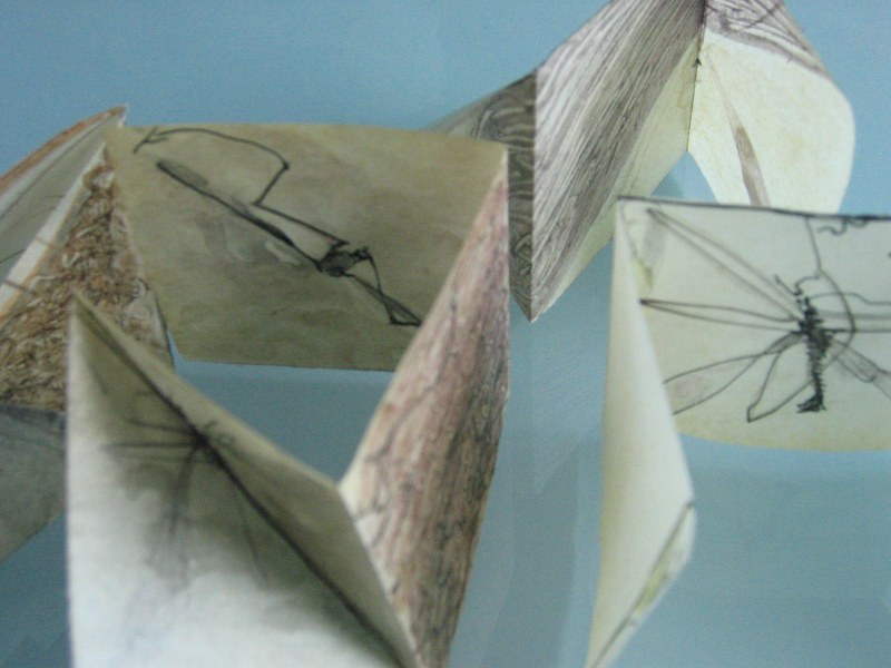Livre d'artiste, Nadine Martin