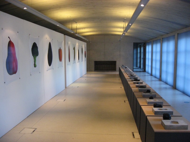 Vue de l'exposition