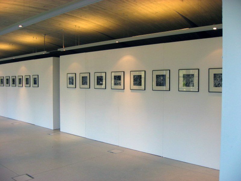 Vue de l'exposition, Daniel Michiels