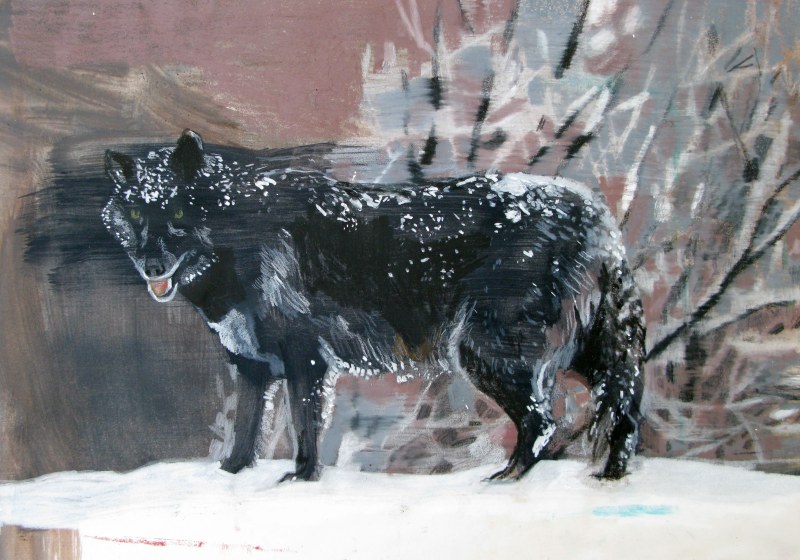 Le loup