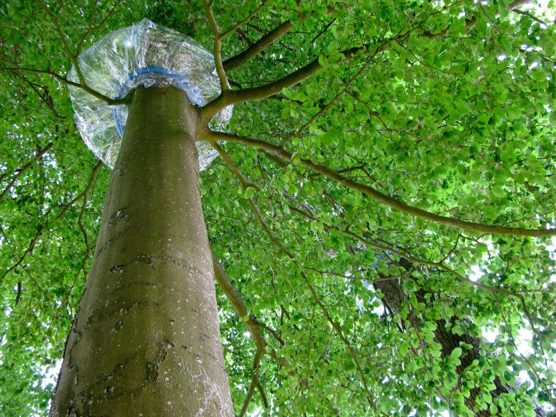 Pulsations plastiques