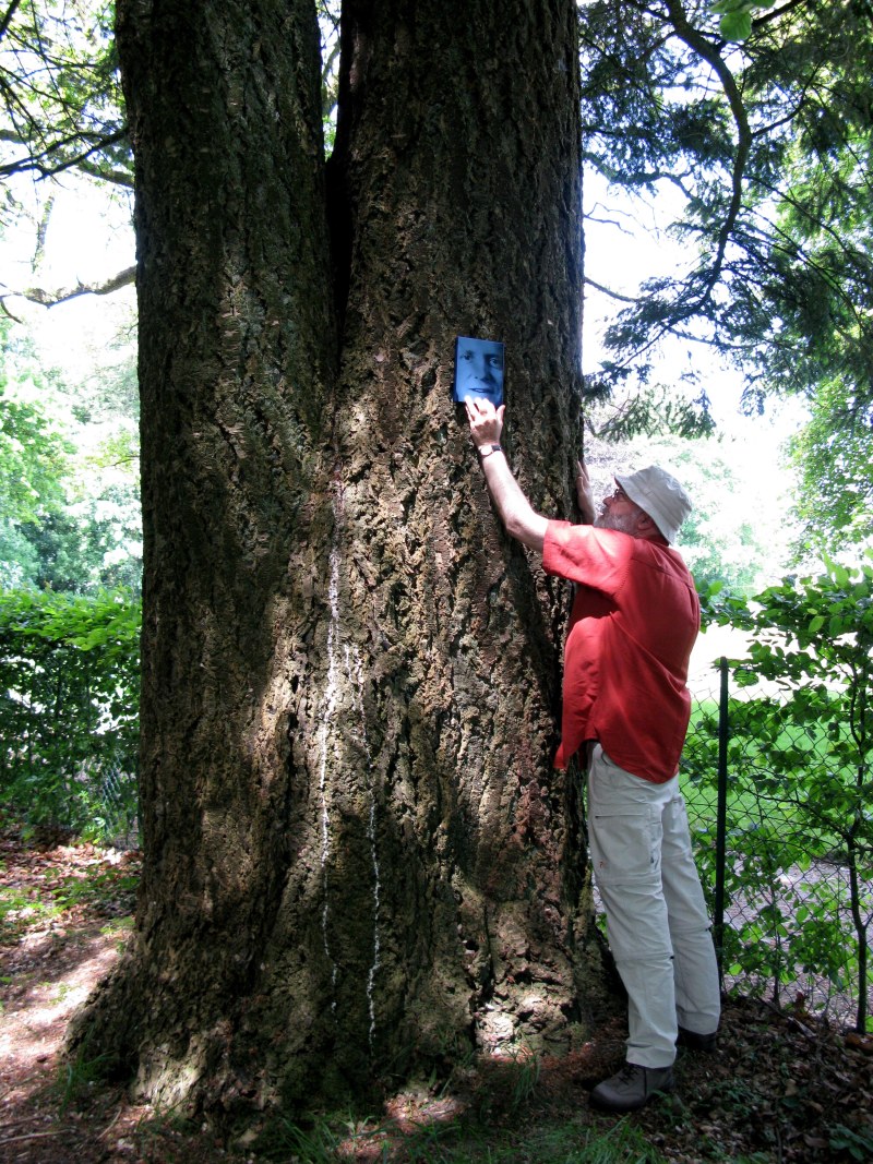 Hommage plaques émaillées