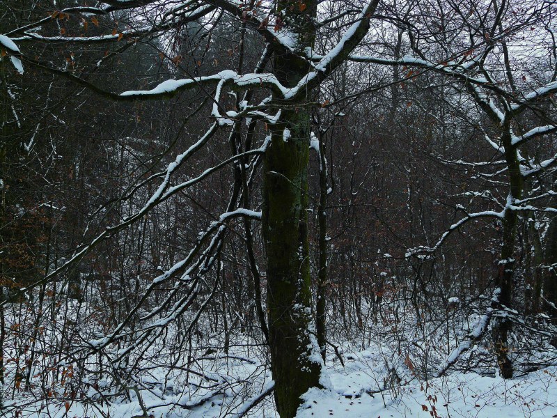 Bérismenil, tirage numérique, 2009