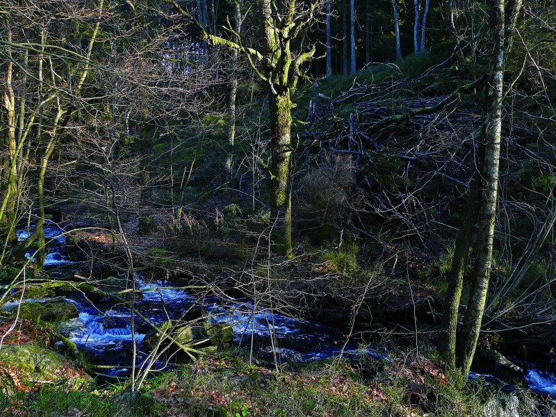 Bérismenil, tirage numérique, 2009