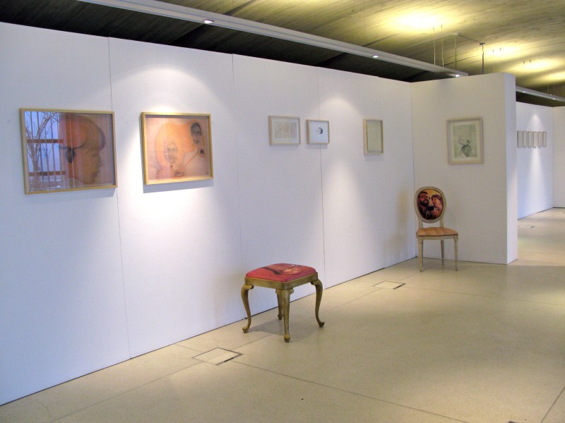 Sophie Vangor, vue de l'installation