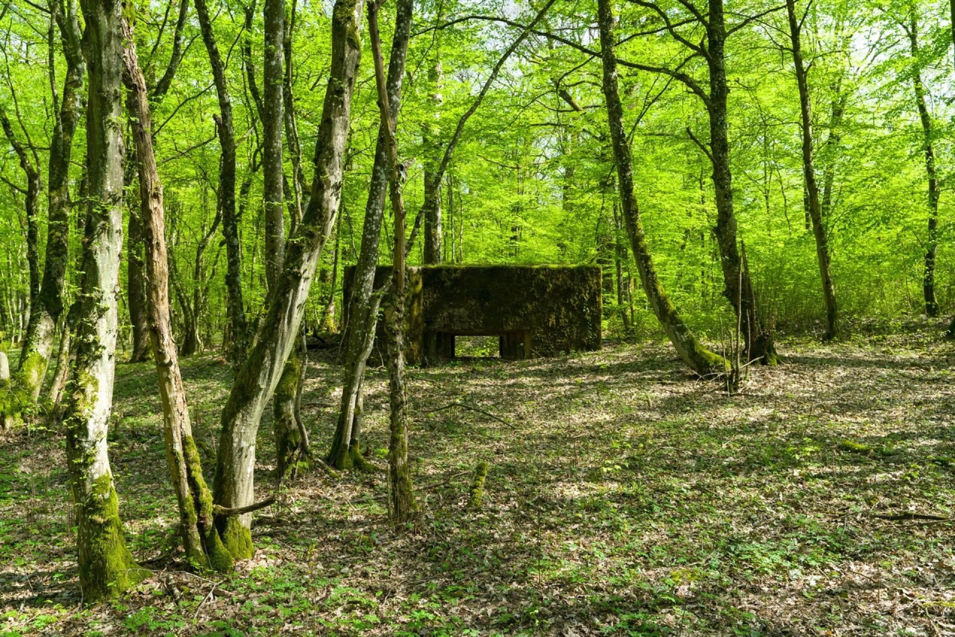 ©Jacques Vandenberg