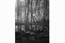 Sans titre, photographie, dimensions variables, 2020