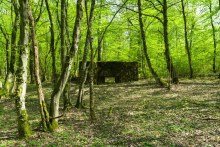 ©Jacques Vandenberg